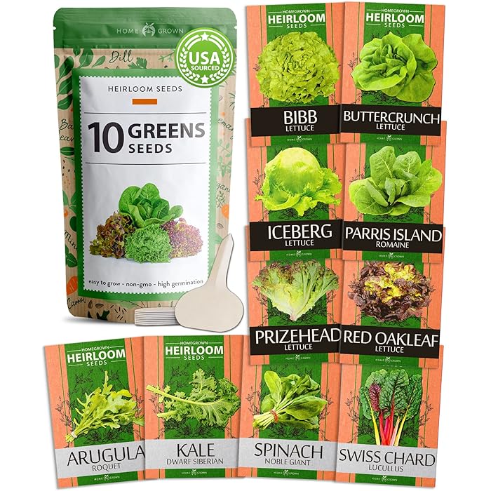 Buy Heirloom Lettuce Seeds 10 Non GMO Leafy Vegetable Seeds for