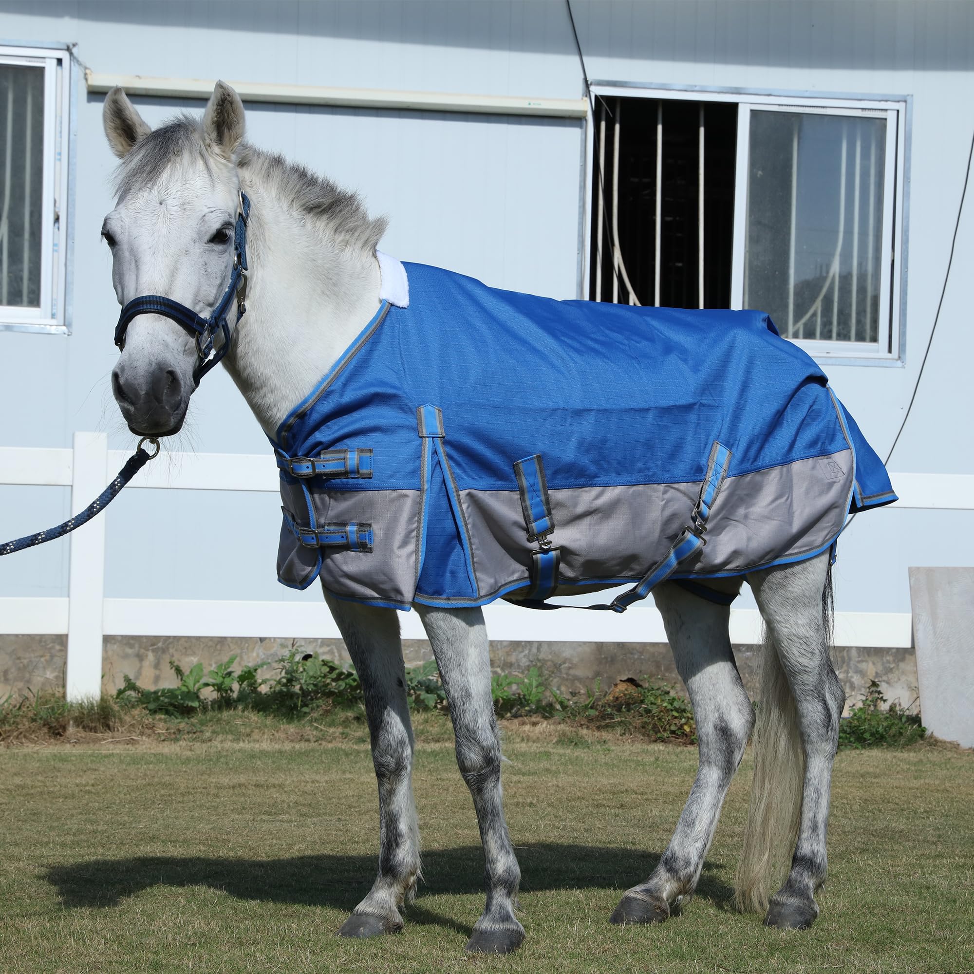 Leberna Mini Horse Pony Turnout Rug (No Fill) (Royal Blue, 3'6")