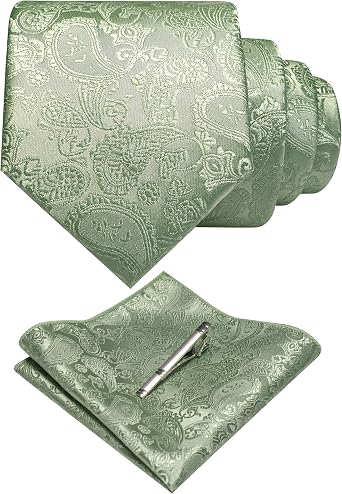 JEMYGINS Mens Solid Color Paisley Necktie and Pocket Square with Tie Clip Sets