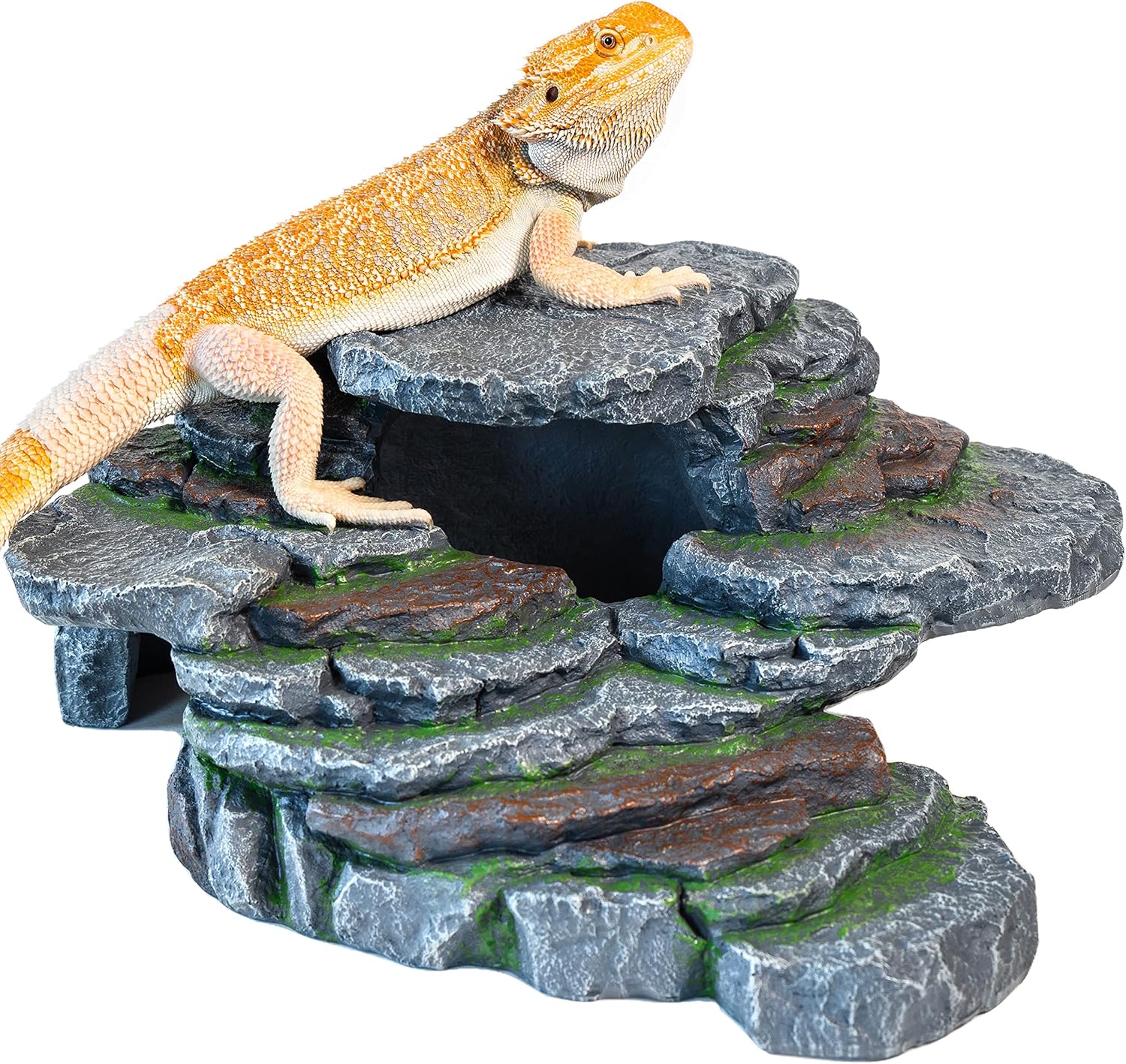 Reptile Hide Bearded Dragon Tank Accessories Extra Large Reptile Hides and Caves Reptile Ledge Hide - Rainforest Series