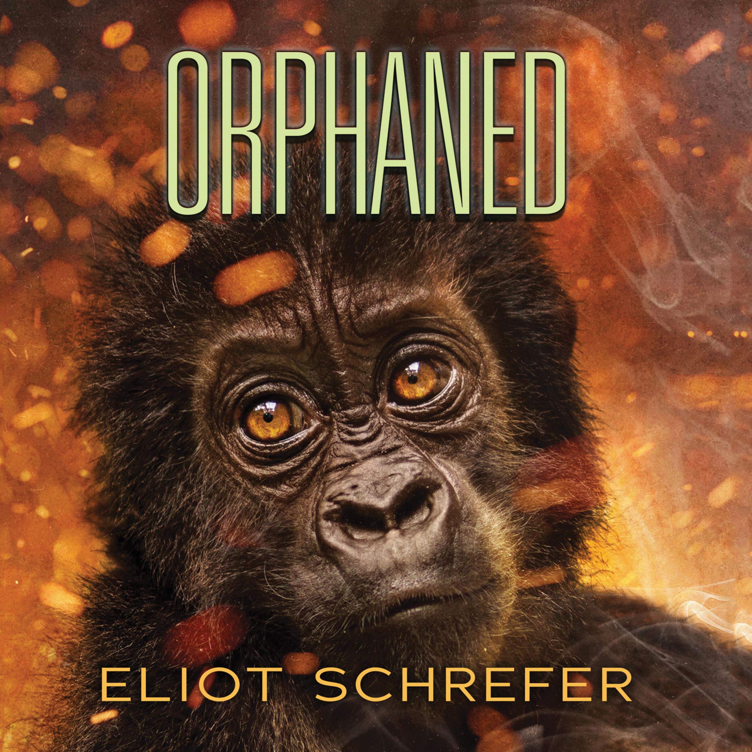 Cover art for Orphaned