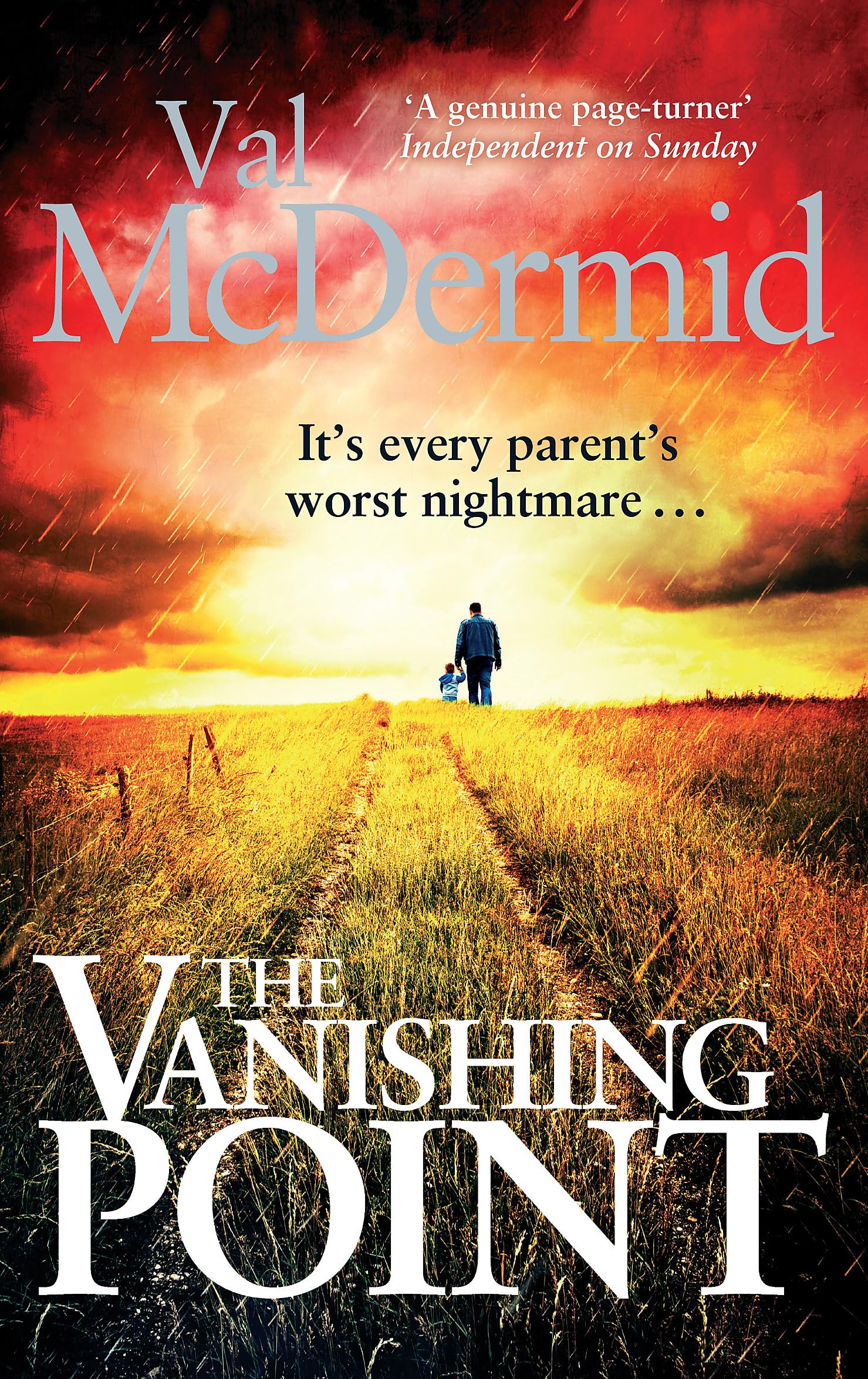 The Vanishing Point by Val McDermid (Paperback, 2013)