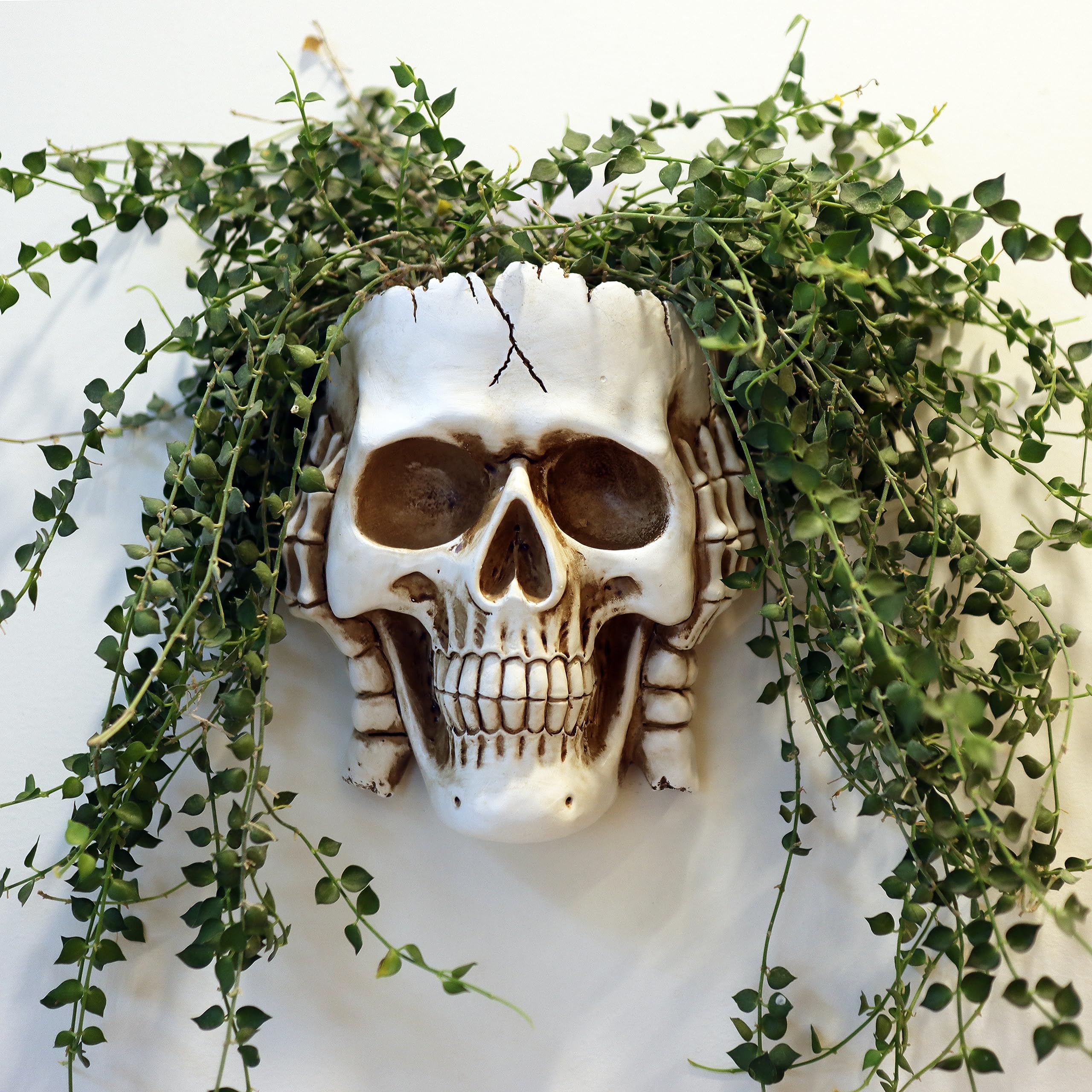 Dolkgy Skull Wall Planter for Home Décor, Hanging Skull Vase Unique Face Flower Pot Head Planters, White Resin Skeleton Gothic Planter for Indoor