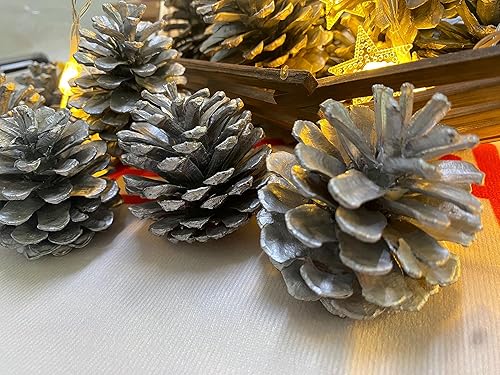 Miniatura 8 de CIUOSUN - Conos de pino, paquete a granel de piñas naturales para decoración de fiesta de árbol de Navidad, decoración de otoño e invierno,