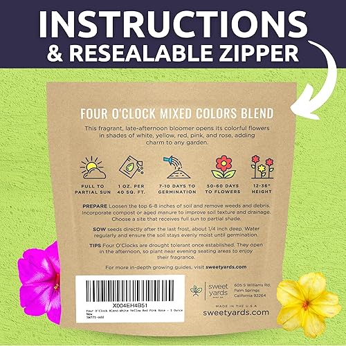 Miniatura 4 de Four O'Clock Mezcla de colores mixtos, paquete grande de 1 onza, 300 semillas de flores para plantar, Mirabilis Jalapa