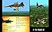 Gunship III - Combat Flight Simulator - STRIKE PACKAGE