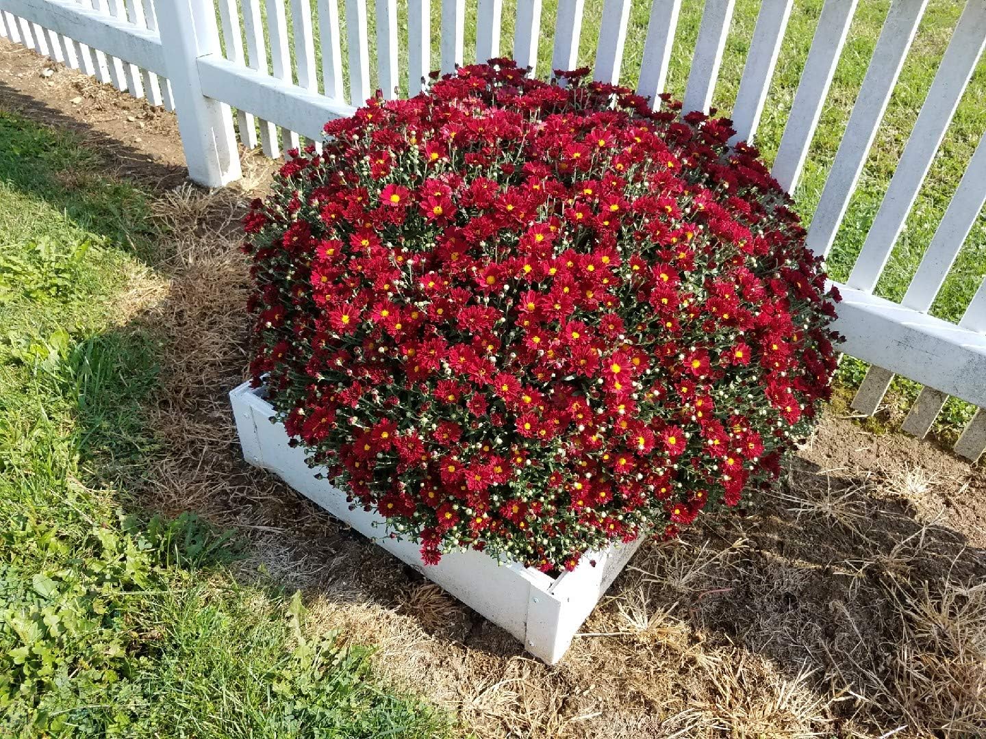 2 x 2 Stack-able, White, Vinyl, Raised Garden Bed