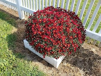 2 x 2 Stack-able, White, Vinyl, Raised Garden Bed