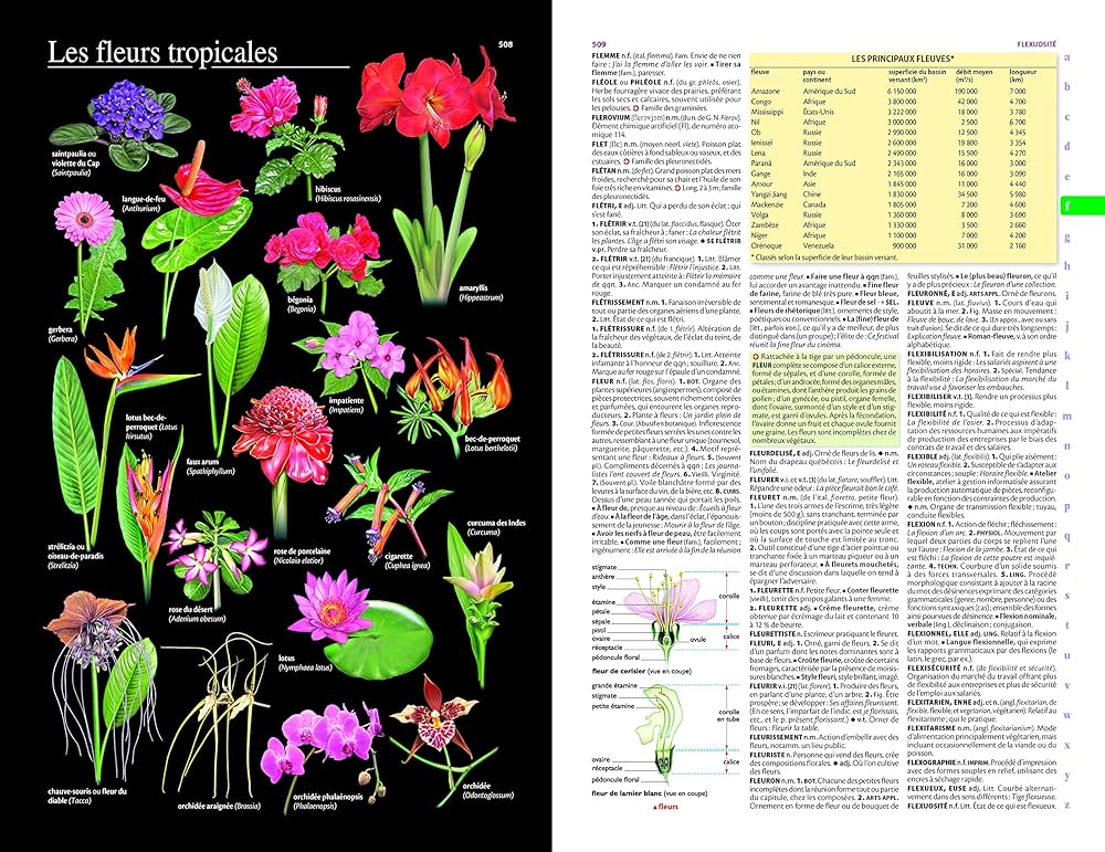 Le grand Larousse ラルース 81CmJGwrEQL._UF350,350_QL50_.jpg