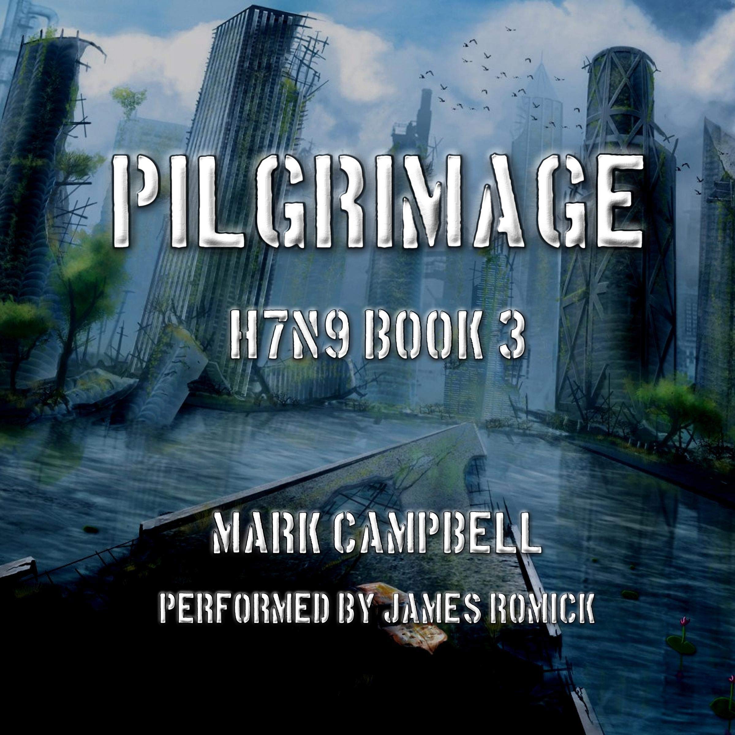 Cover art for Pilgrimage