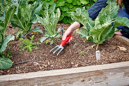 Miniatura 4 de Corona CT 3030I Comfort Cultivador