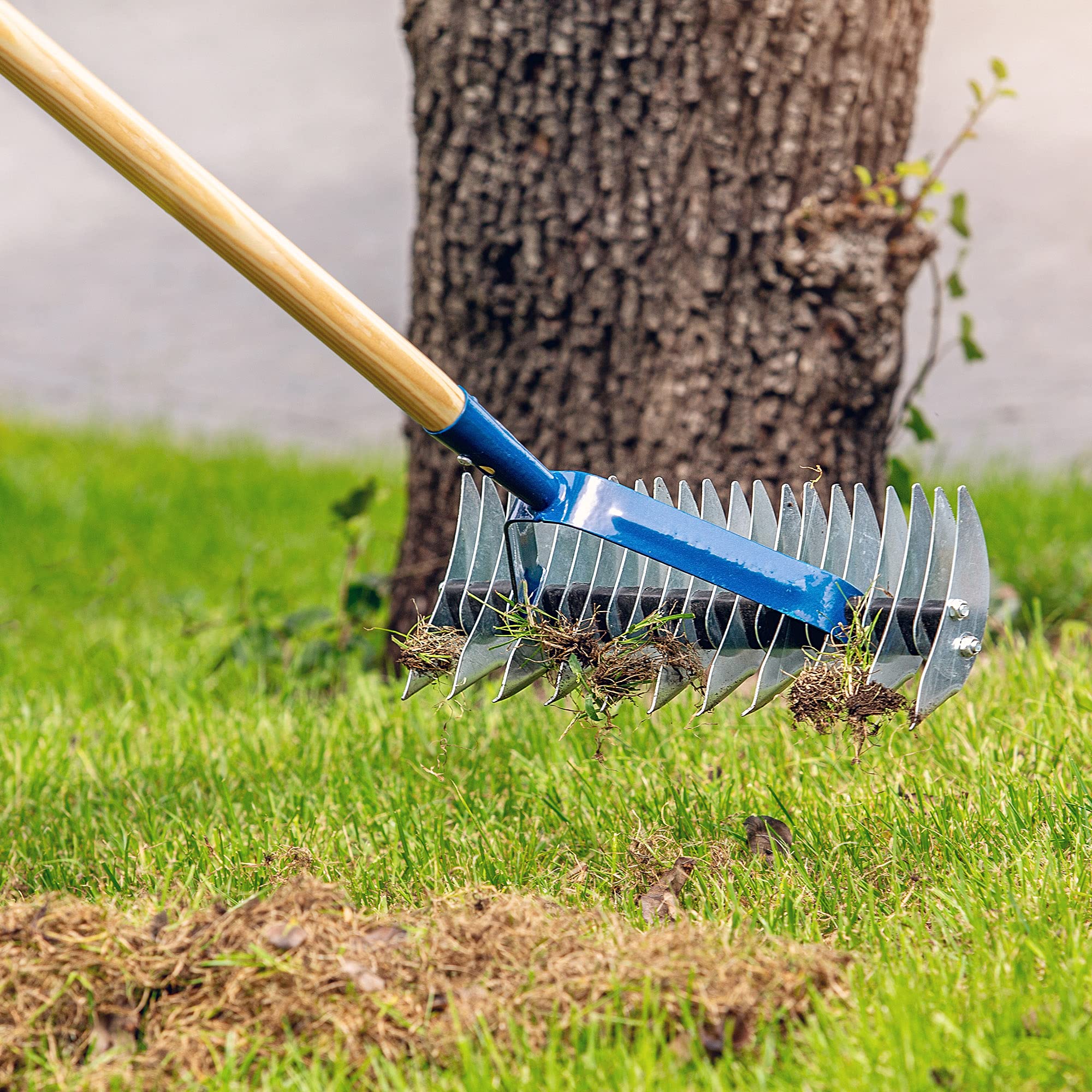 KADAX Scarificateur Manuel avec Manche en Bois et Tête en Acier, Aérateur de Gazon et Sol, Outil d'Aération et de Déchaumage pour Jardin et Pelouse