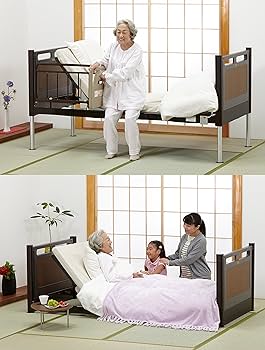 Amazon | フランスベット 超々低床 リクライニングフロアー