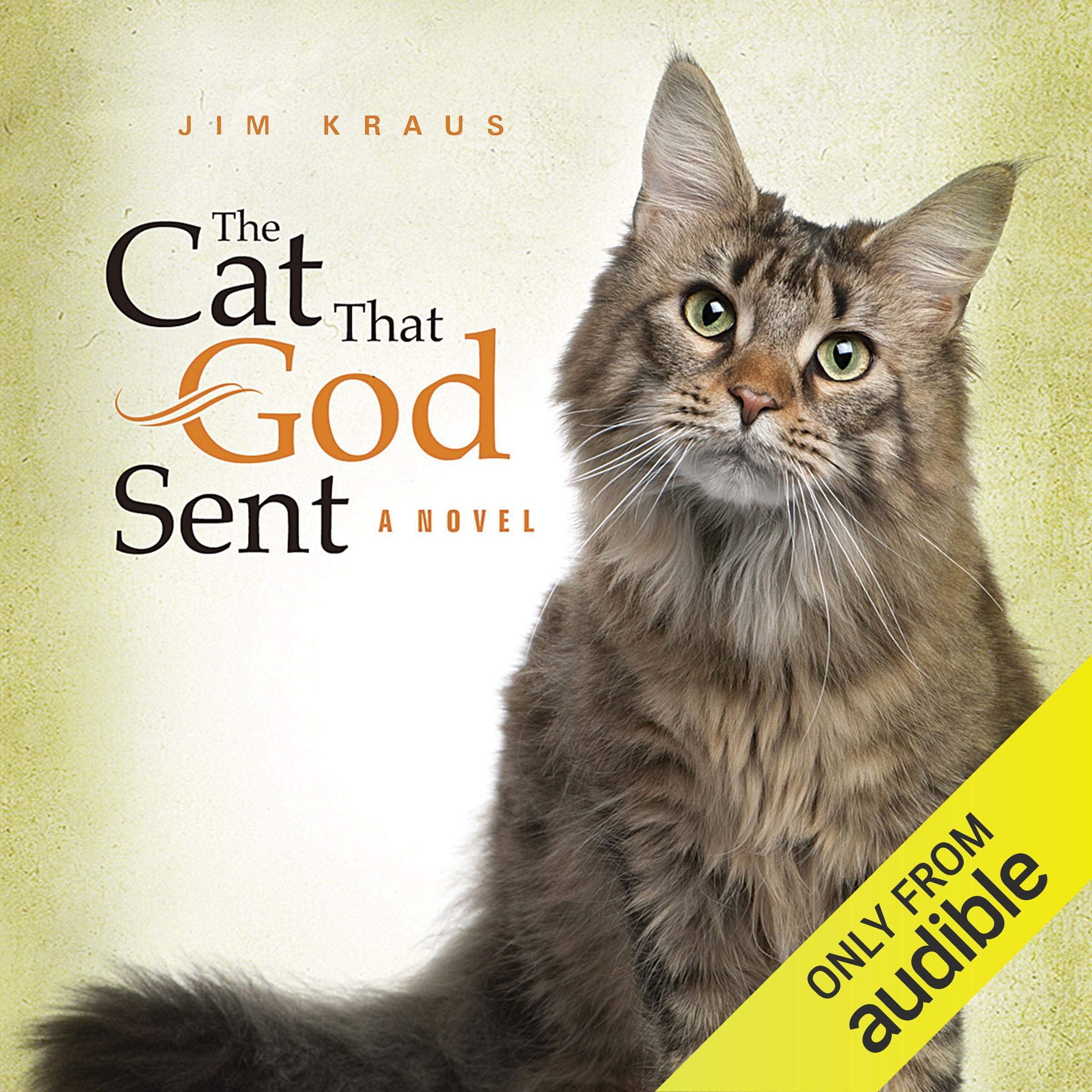 Cover art for The Cat That God Sent