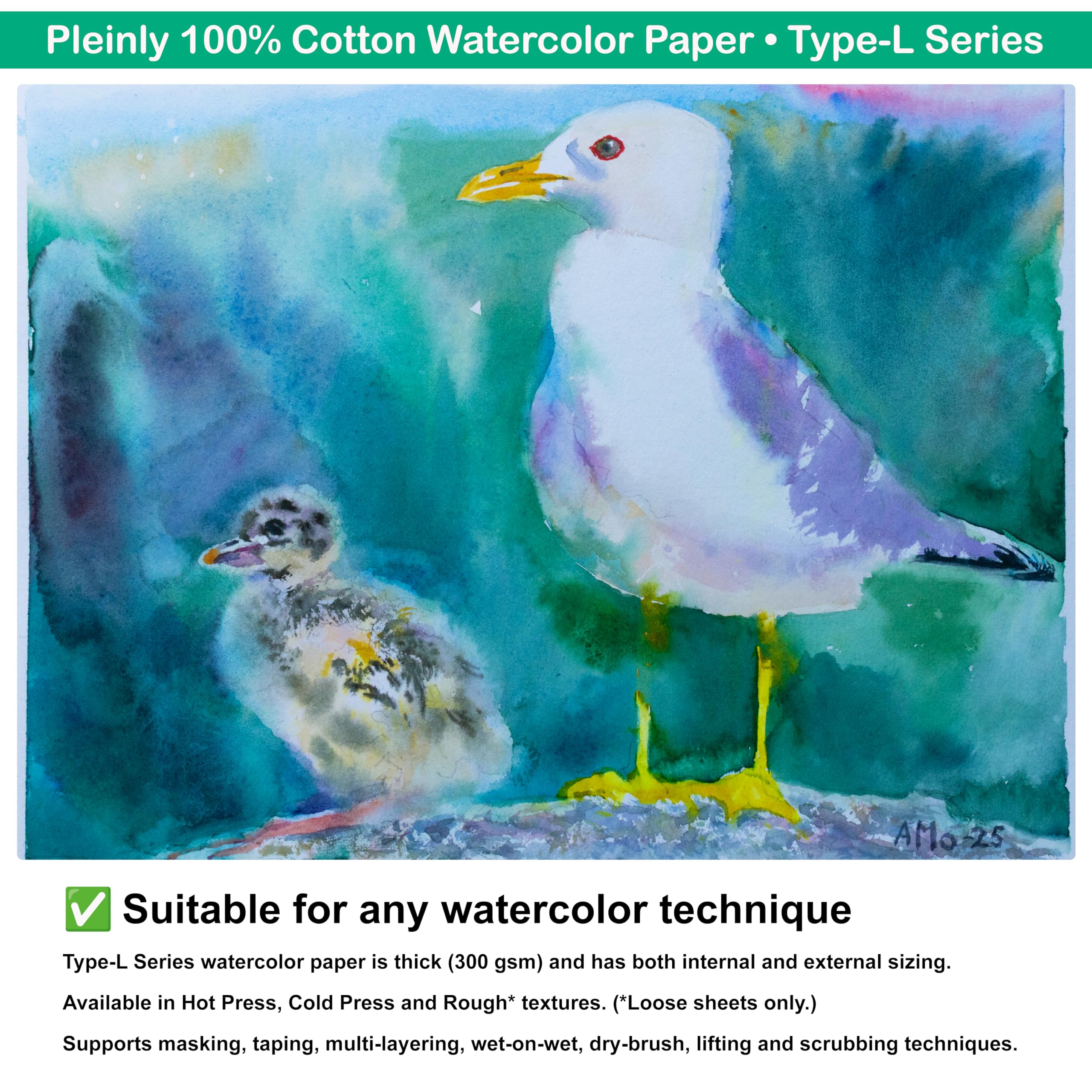 2 cuadernos de bocetos PLEINLY de acuarela 100% algodón HP y CP, papel tipo L, tamaño grande de 8 x 12 pulgadas, 140 libras/300 g/m², 2 x 52 páginas, vertical, cabe en un soporte de panel húmedo, tapa