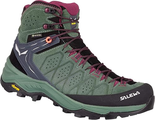 Salewa Womens Alp Trainer 2 Mid GTX - Waterproof Trekking \u0026 Hiking Boots :  Amazon.in: Shoes \u0026 Handbags