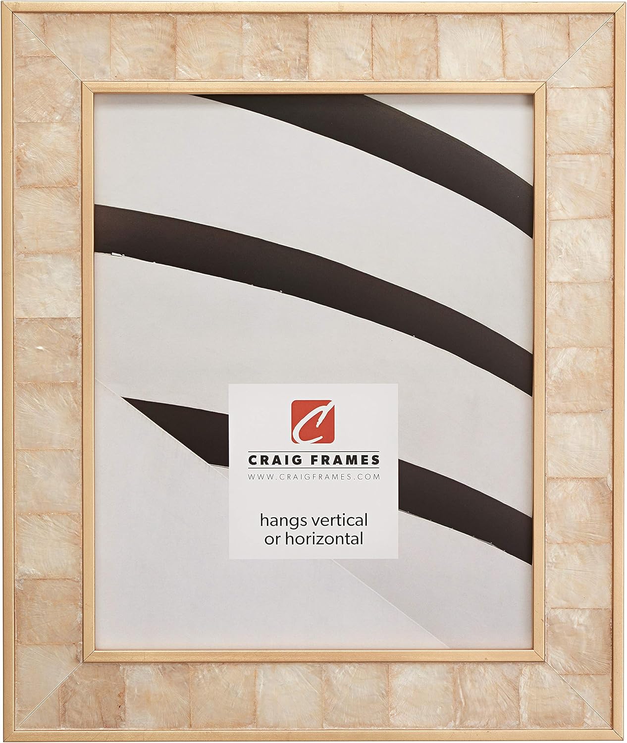 Craig Frames Opulence Picture Frame, 5 x 7 Inch, Silver Mother of Pearl