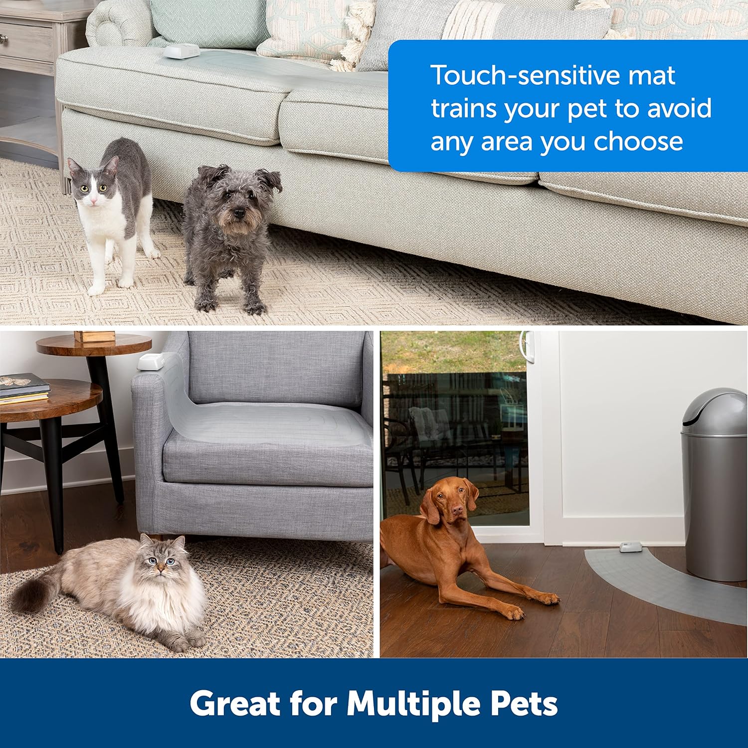 PetSafe ScatMat Indoor Training Mat, Sofa, 60 in X 12 in