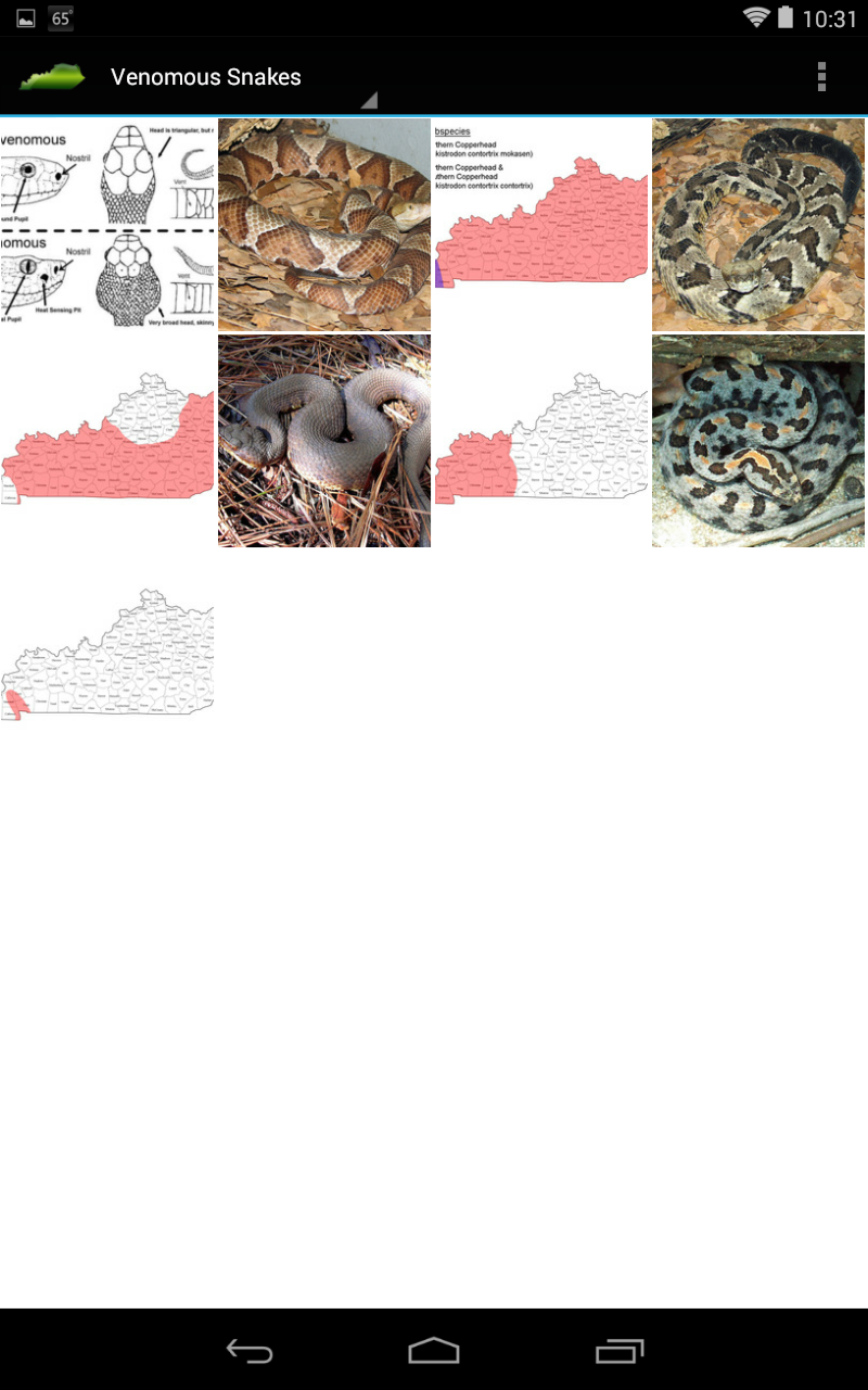 KY Reptile Guide for Android