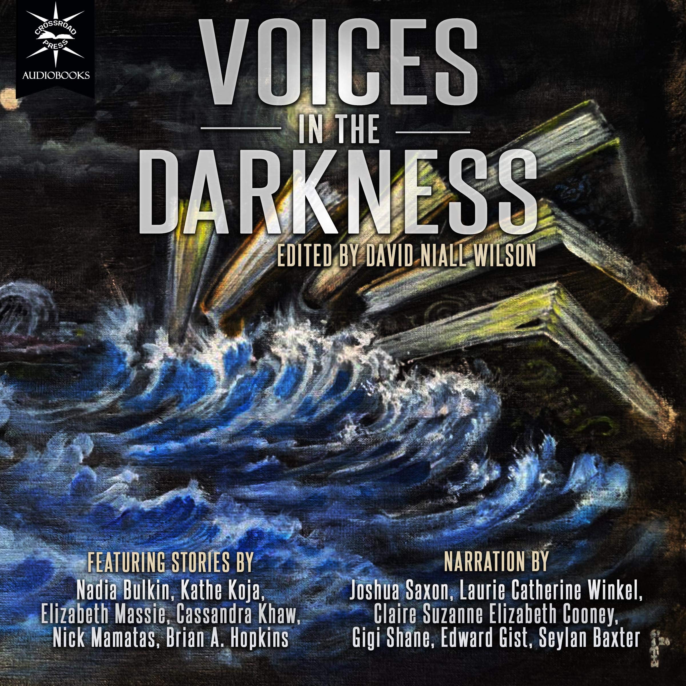 Voices in the Darkness