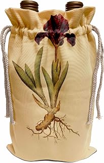 3dRose Wine Bag - Print of Stigmata Petaliformia Plant From 1700 Vintage Botanical II