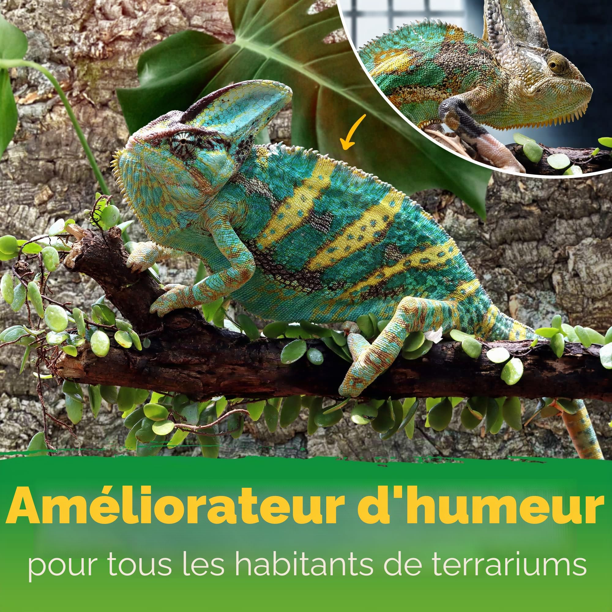 Paroi arrière XL en liège 3D pour Terrarium 90 x 60 cm