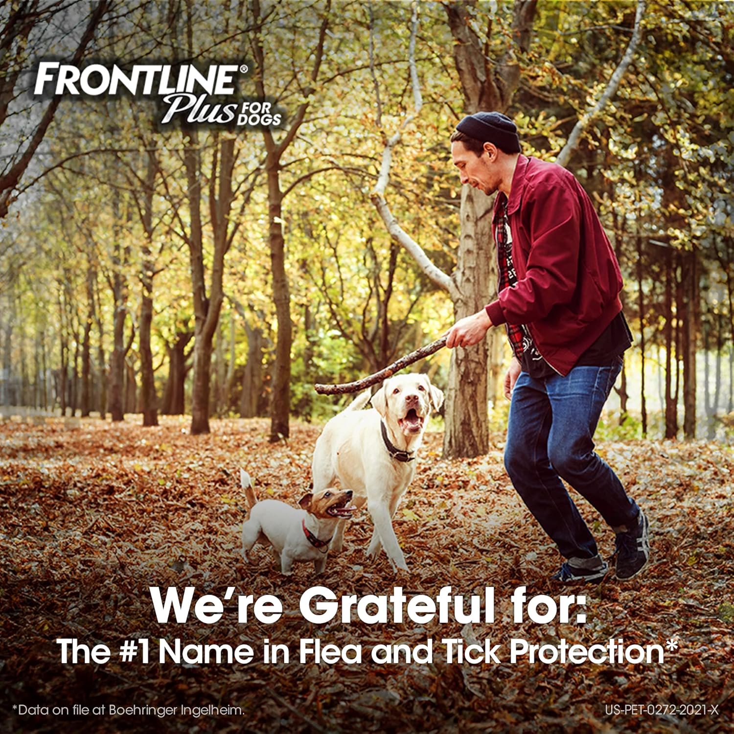 frontline plus medium dog