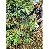 Product Photo 8