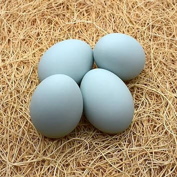 Ceramic Nest Eggs 4-Pack (Ameraucana)