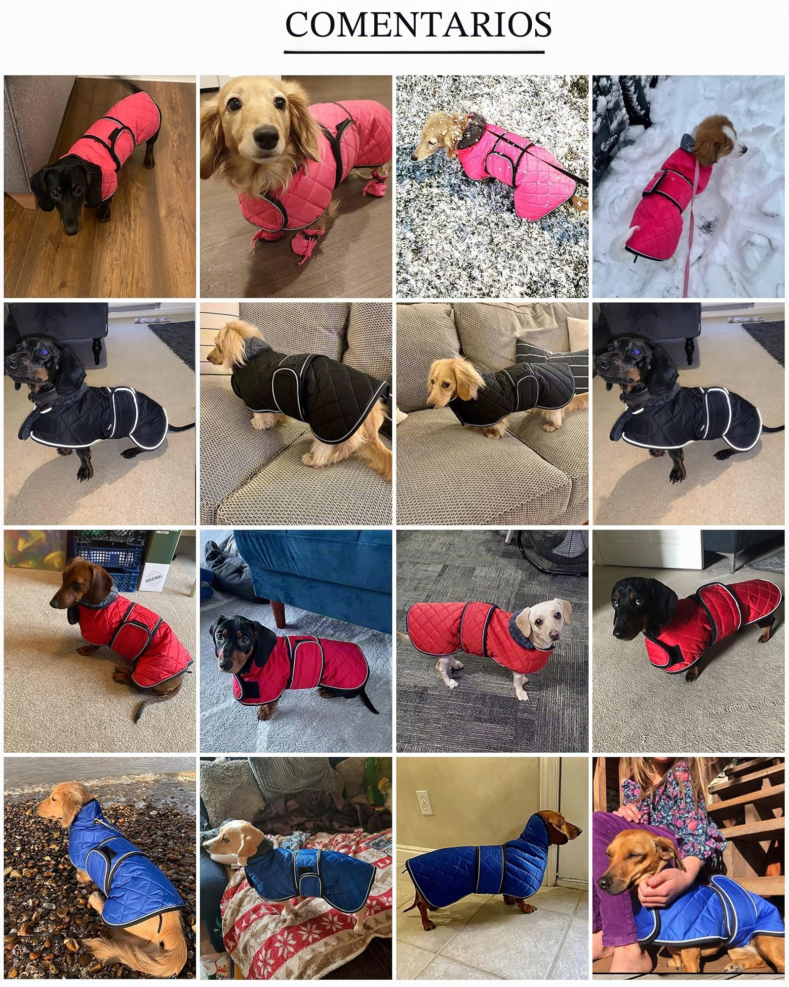 Geyecete Abrigo térmico de Invierno para Perro Salchicha,con Forro Polar cálido,Impermeable Ropa al Aire Libre con Bandas Ajustables e Agujero del arnés,para medianos/pequeña Perros - Azul-S