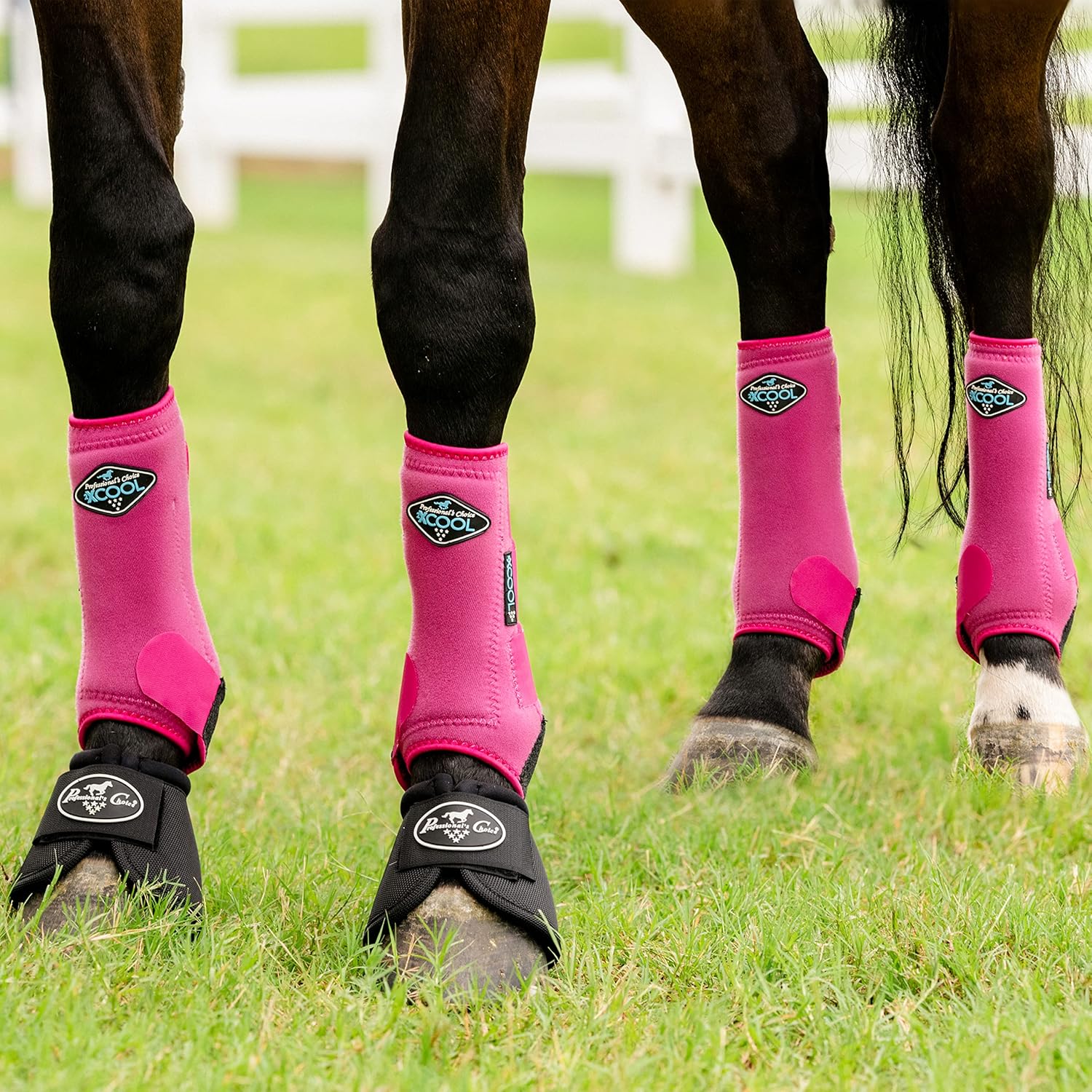 Professional's Choice 2XCOOL Sports Medicine Horse Boots | Protective & Breathable Design for Ultimate Comfort & Durability in Active Horses | Value 4 Pack