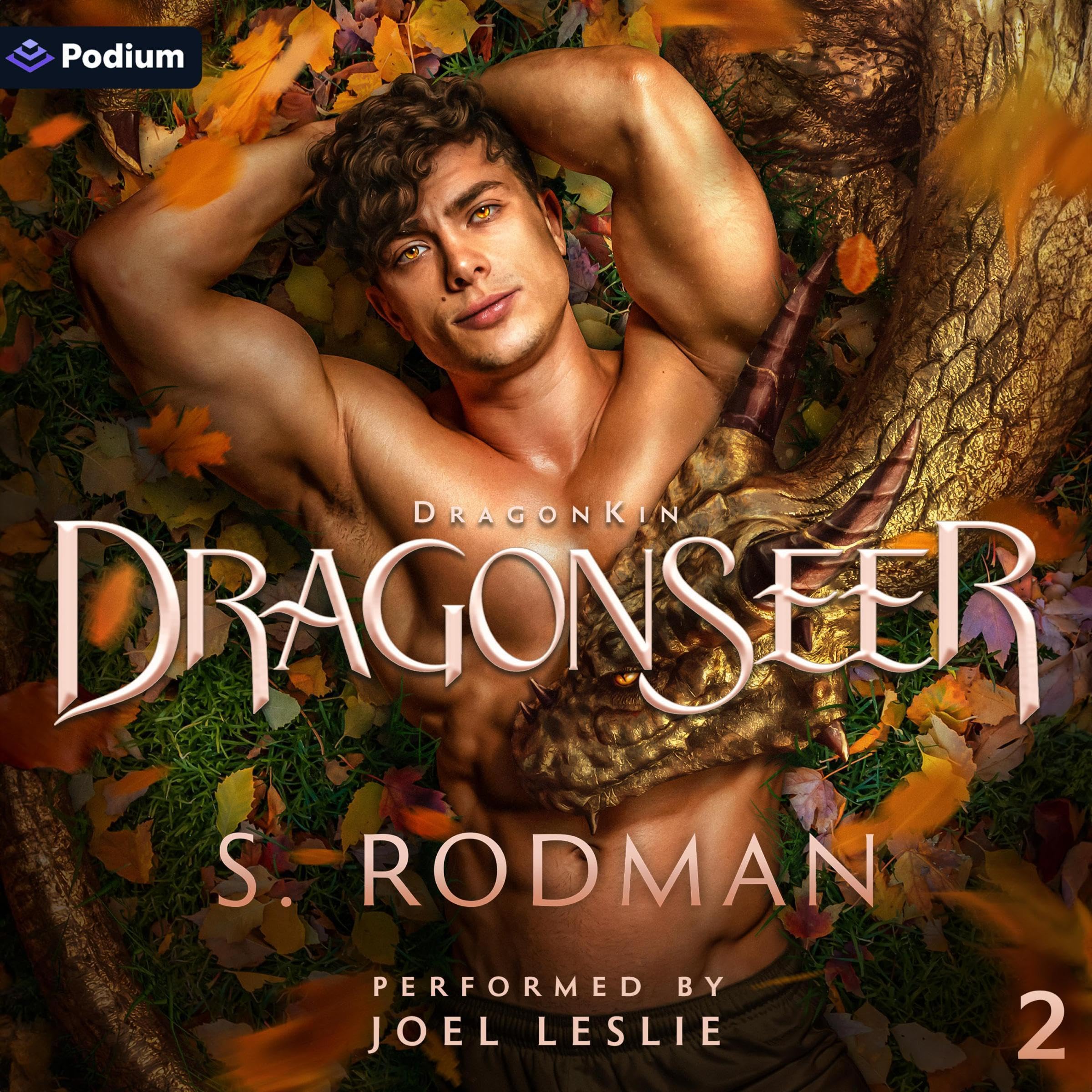 Cover art for DragonSeer