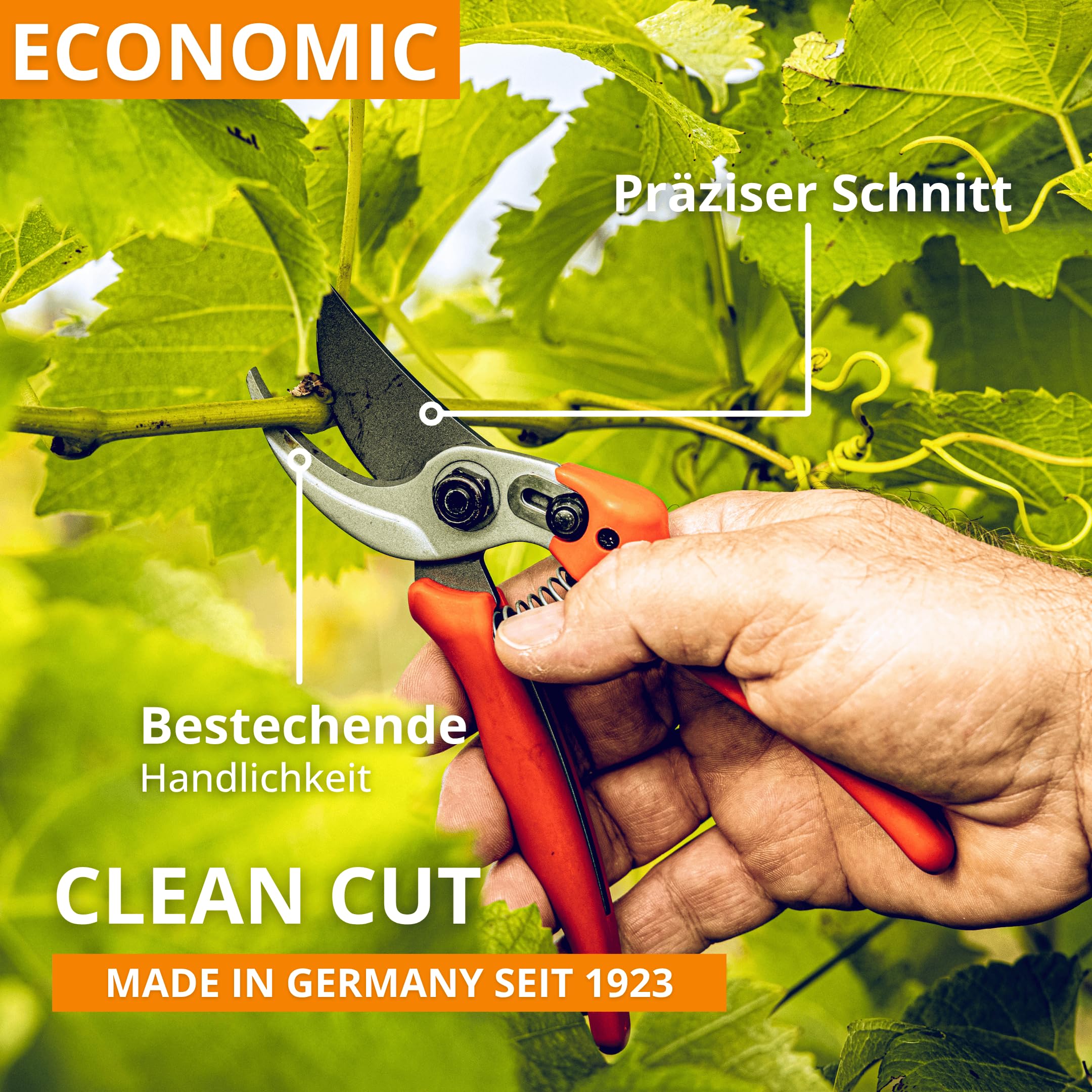 Original LÖWE 14 Gartenschere Rosenschere 14.107 mit scharfen Stahlklingen aus Carbon - leichte Bypass-Schere mit Antihaftbeschichtung zum Schneiden für Rosenbüsche Rosenzweige Äste Schnittblumen