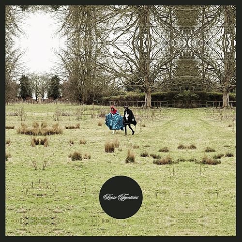 loose tapestries presents the luxury comedy tapes album download