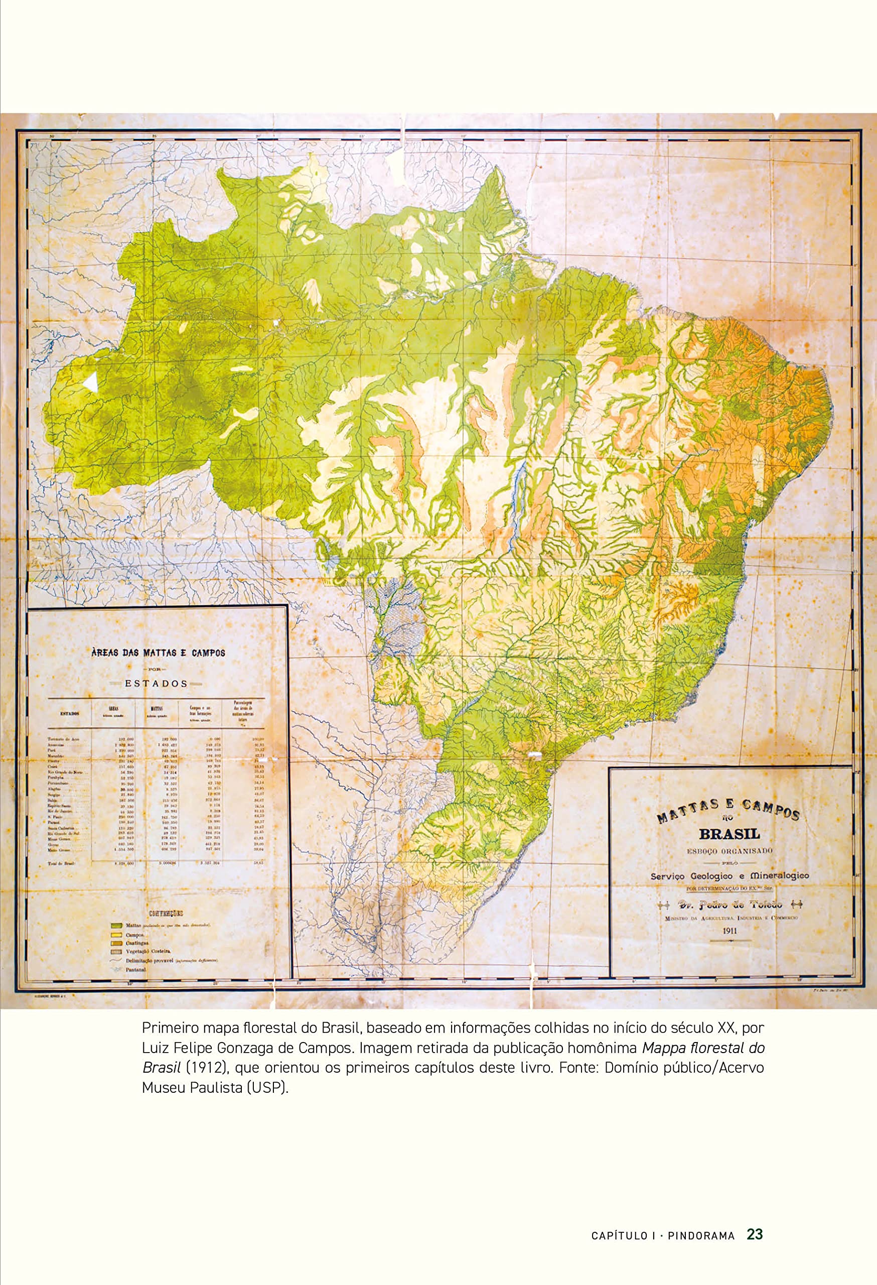 História das florestas brasileiras