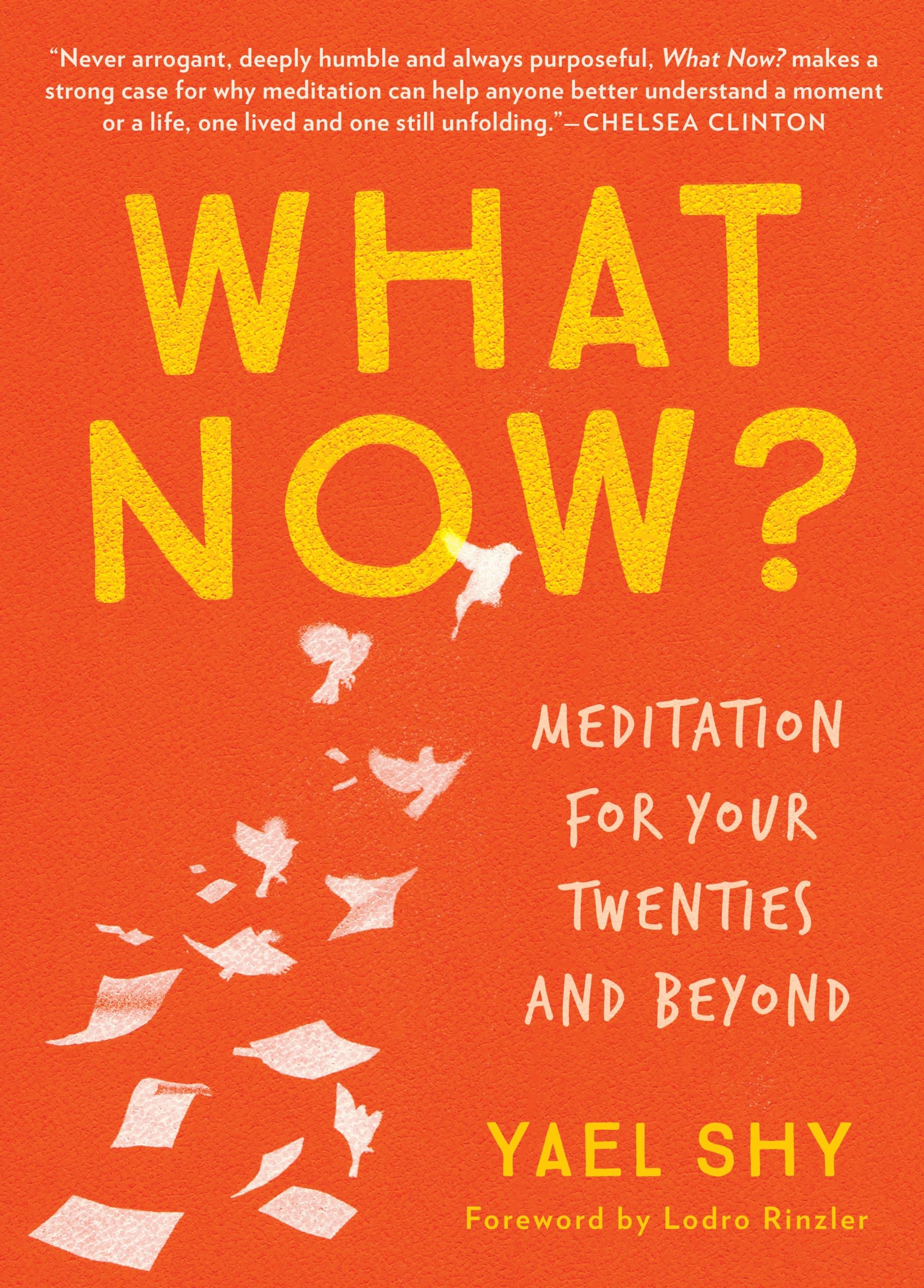 What Now.pdf Snapklik.com : What Now: Meditation For Your Twenties And Beyond