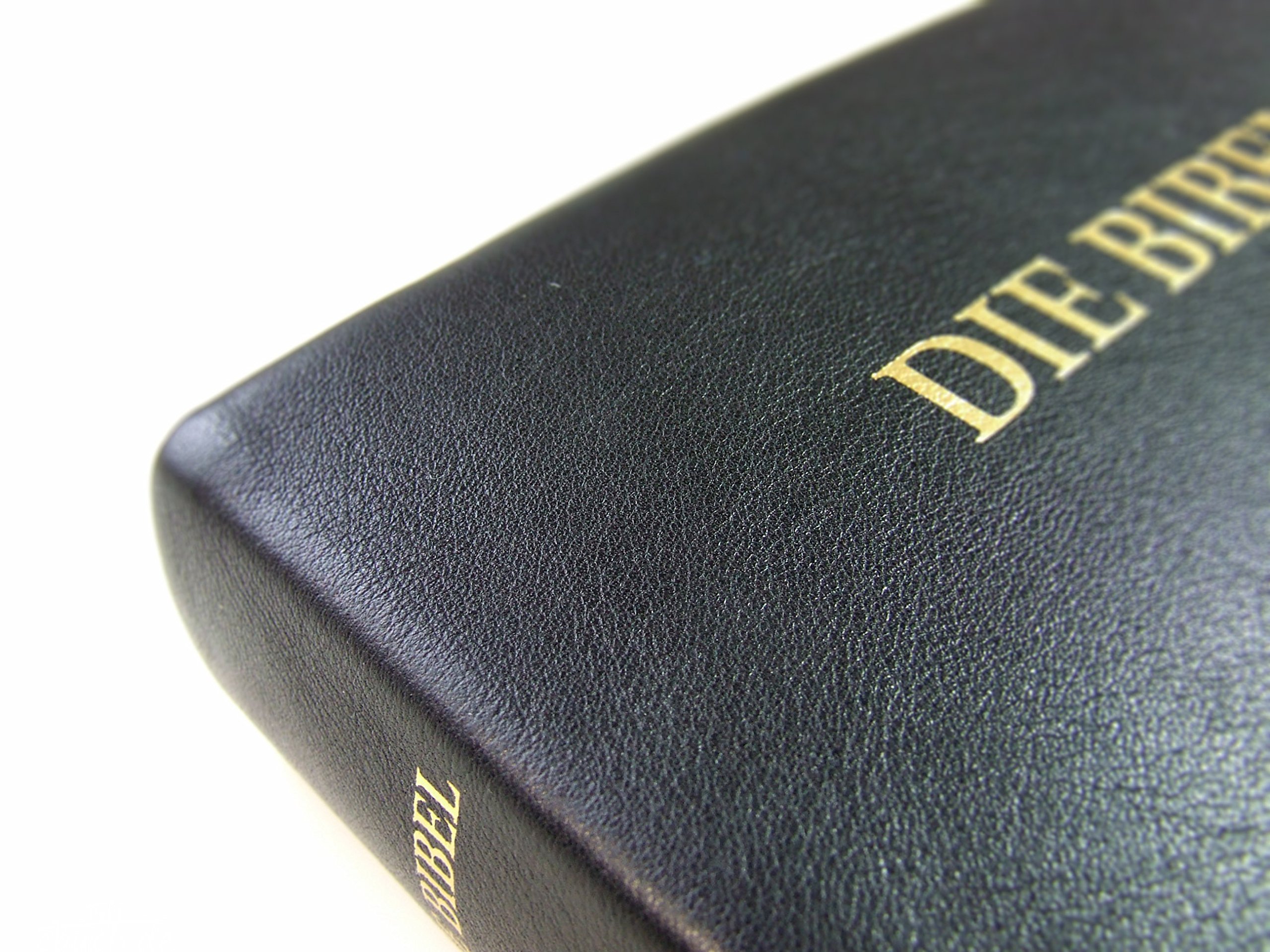 Schlachter 2000 Bibel - Großdruckausgabe (Softcover, schwarz, Goldschnitt): Großdruckausgabe, Rindleder-Einband (flexibel), Goldschnitt, Fadenheftung / ohne Parallelstellen