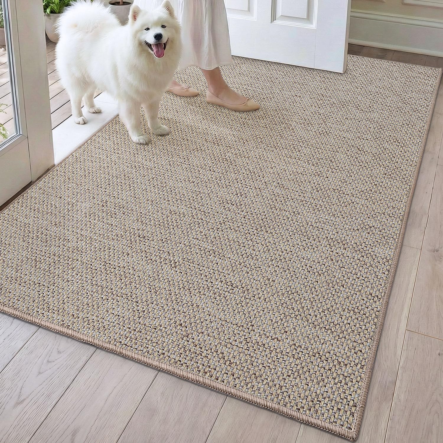 DEXI Ultra Thin Door Mat Indoor Entrance 32x48, Non Slip Rubber Backed Entryway Mats Dirt Trapper, Low Profile Front Doormat for Inside Entry, Patio, Porch, Beige