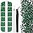 One Pack 2000 Pcs of Flatback Round Dark Green Rhinestones 6 Sizes (1.5-6 mm) with Nail Art Rhinestone Picker Pencil and Tweezers for DIY and Salon Use