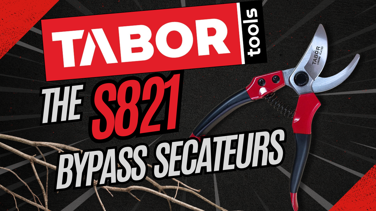 Tijeras de podar TABOR TOOLS S821A con hojas cromadas 3/4 pulg miniatura 7
