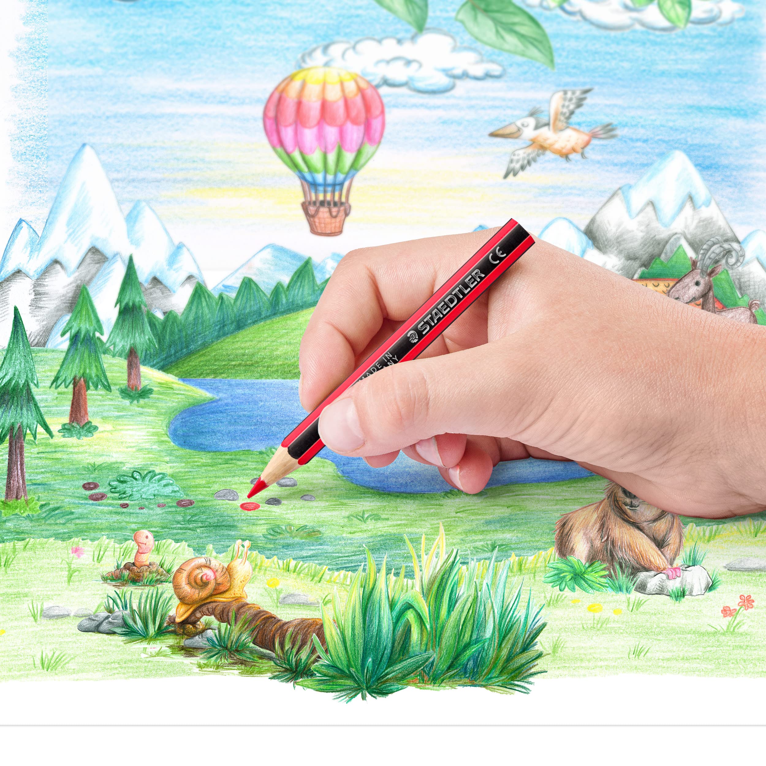 STAEDTLER 185 01 C12 Noris Colour Half-Length Pencils - 12 Assorted Colours (Pack of 24 Pencils) - Image 4