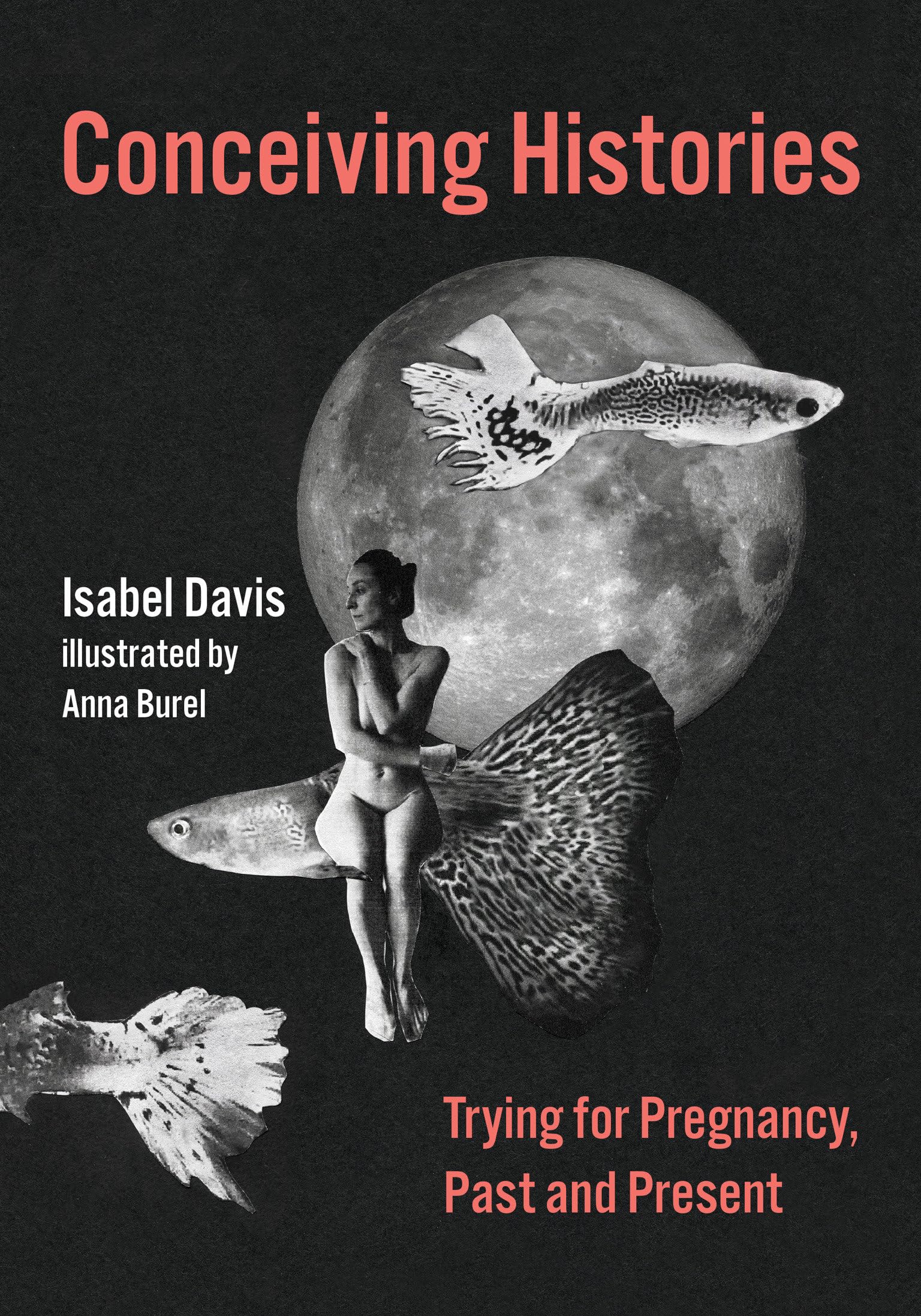 Conceiving Histories: Trying for Pregnancy Past and Present