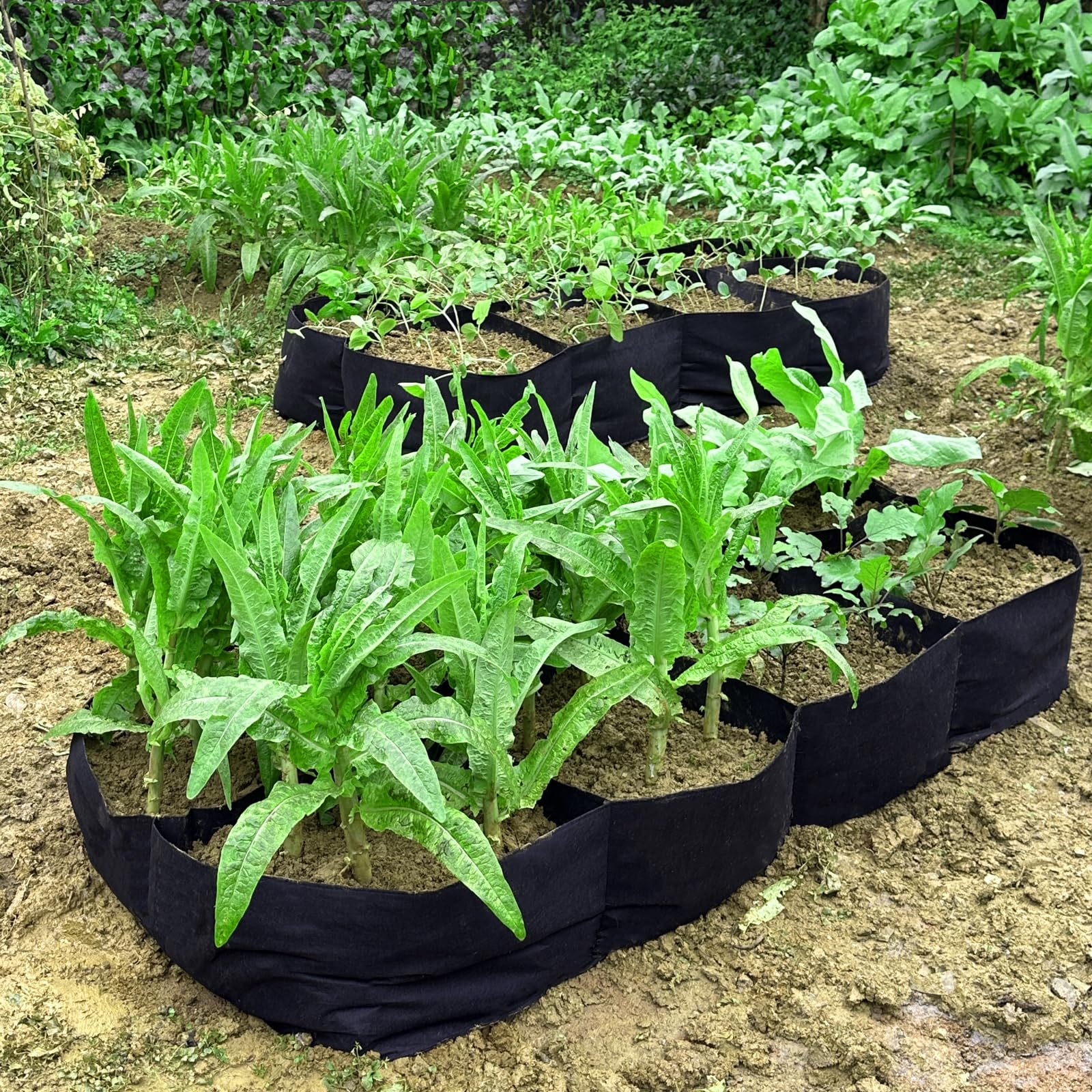 PQZKLDP - Cama De Jardín Elevada De Tela De 128 Galones, 8 Rejillas, Bolsas  De Cultivo De, image size:1600x1600