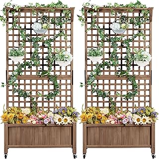 10 Jasmine Trellis Ideas for Fragrant Vertical Garden Design 87 Yaheetech 72