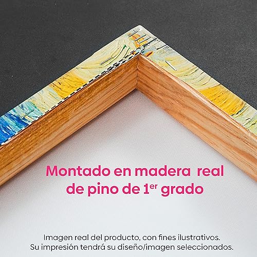 Miniatura 4 de Canvas Lab Canvas Wall Art Decor Flamboyan Tree, Cancun by the Artist Luis Velasco  Size 24 x 16 in - Art subject Botanical,Floral,Nature