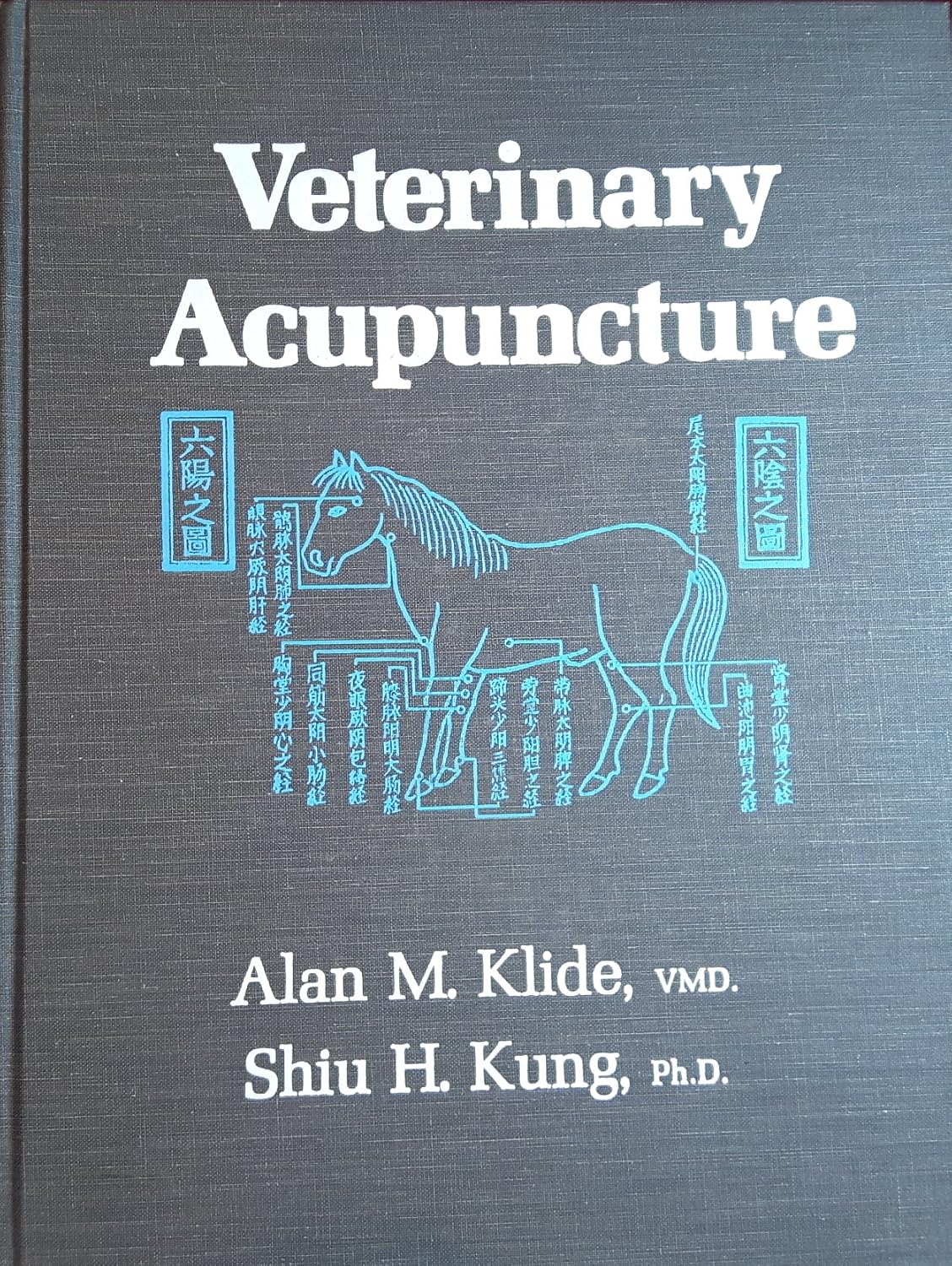 Veterinary Acupuncture First edition by Klide, Alan M., Kung, Shiu H. (1977) Hardcover