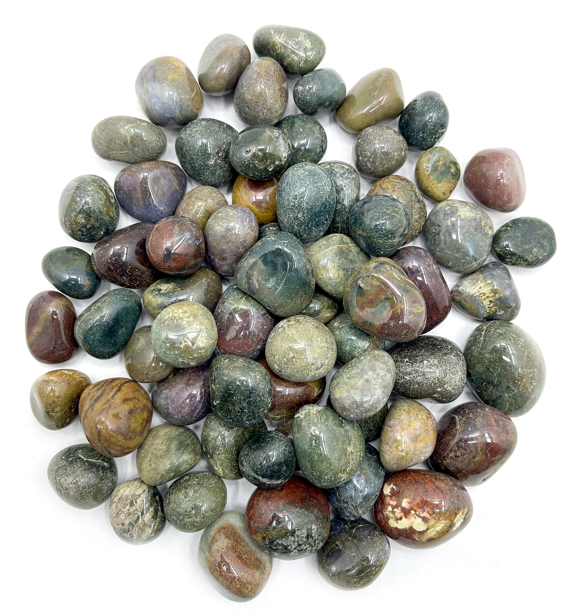 Schmick Fancy Pebbles Stones for Decoration Table, Plants Pots, Fish Tank, Aquarium Home Decoration (900 Grams) (B093X1RWSB) Amazon Price History, Amazon Price Tracker
