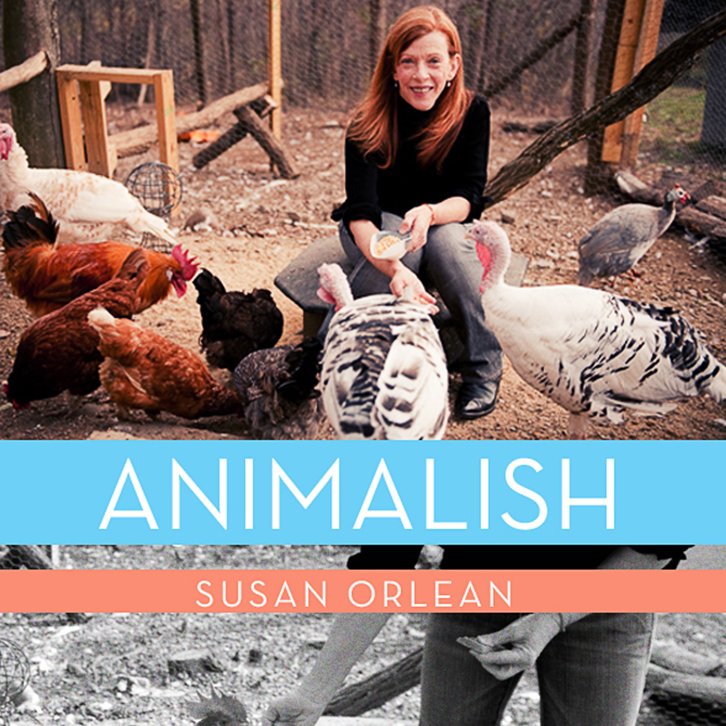 Cover art for Animalish