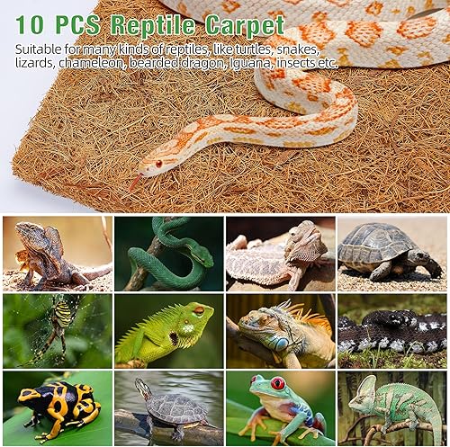 Miniatura 4 de ZeeDix 10 alfombras de reptiles, 12 x 12 pulgadas, tapete de fibra de coco natural para suelo de tanque de reptiles, dragón barbudo, tortuga,
