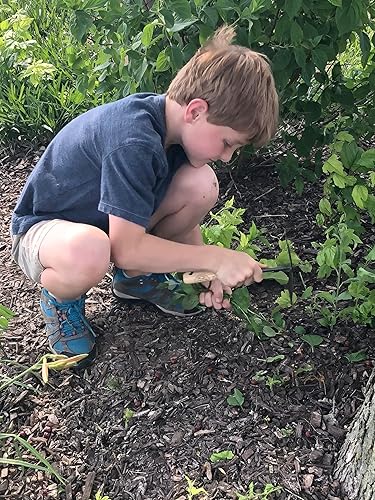 Miniatura 4 de Tierra Garden DeWit Junior - Azada de mano doble para niños
